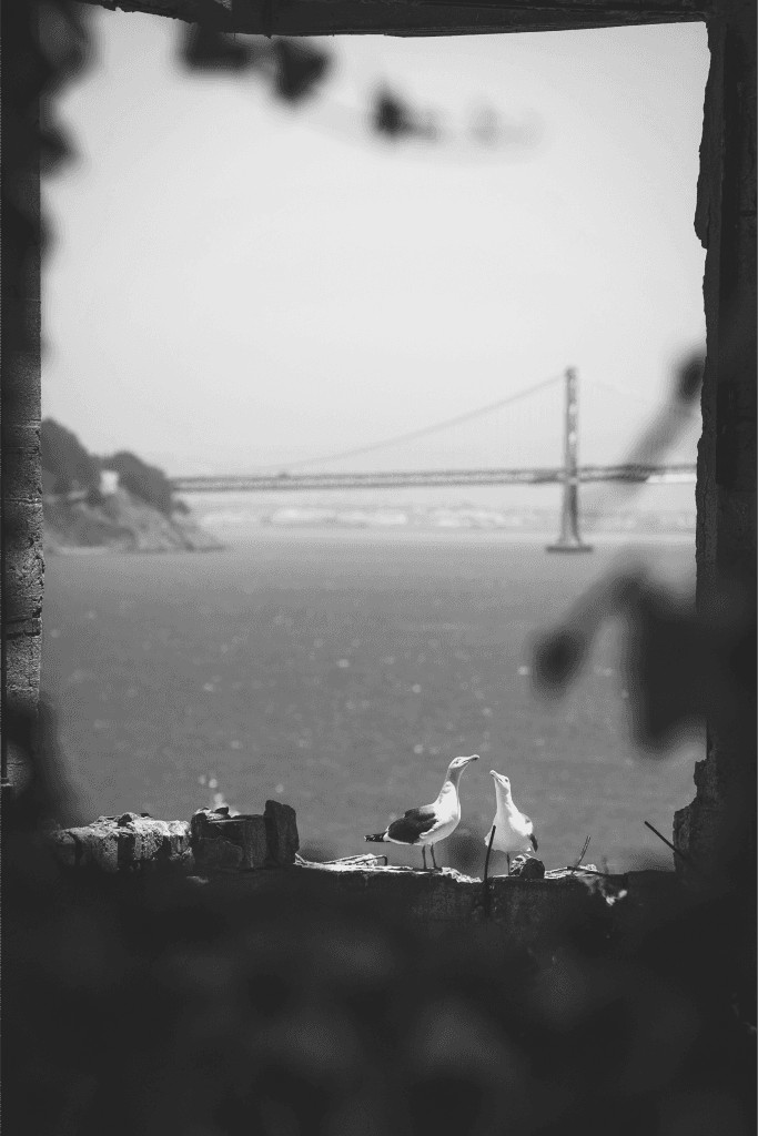 The Golden Gate Bridge seen through a window overlooking San Francisco Bay