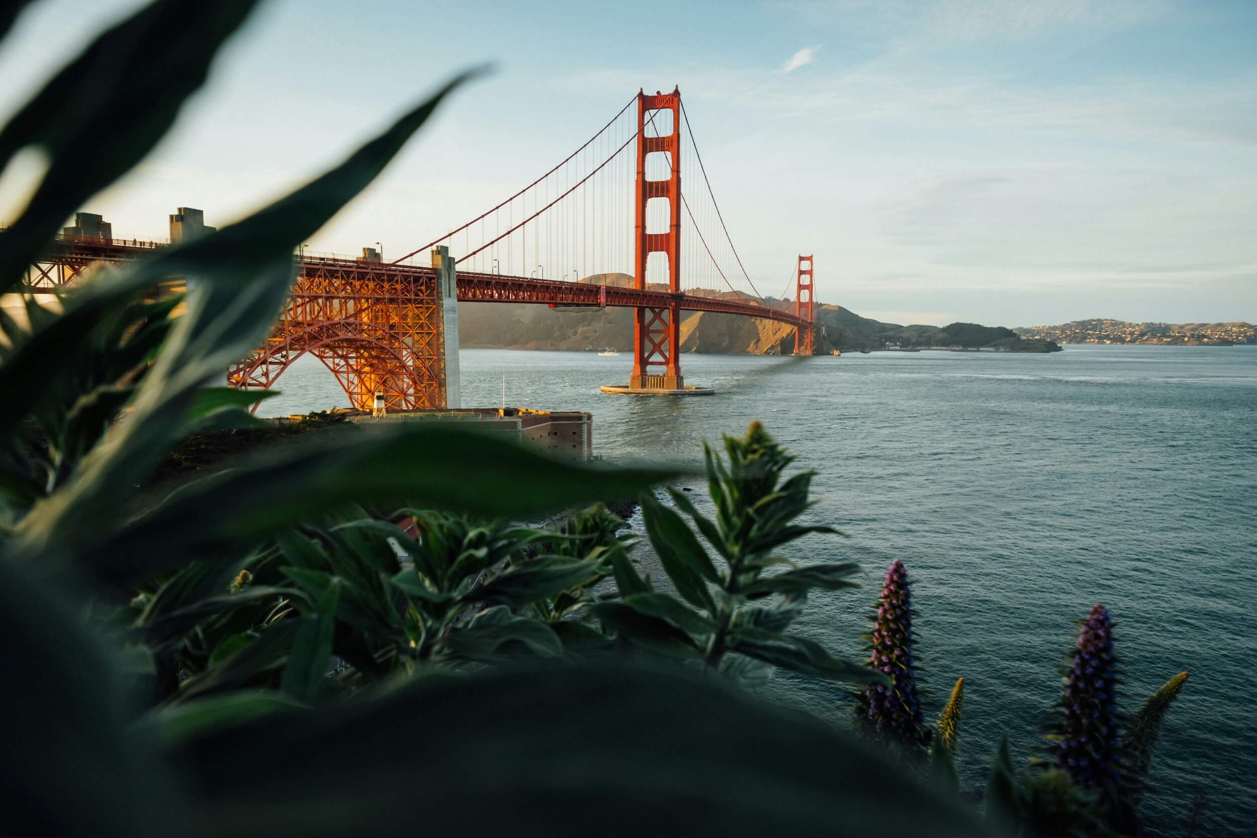 The Golden Gate Bridge spanning San Francisco Bay, framed by foliage